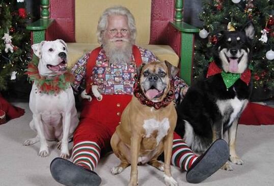 Vanderburgh Humane Society To Host Pet Pictures With Santa At Washington Square