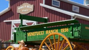 Venetucci Farm Launches 90Th Anniversary Pumpkin Fest With Oktoberfest Weekend
