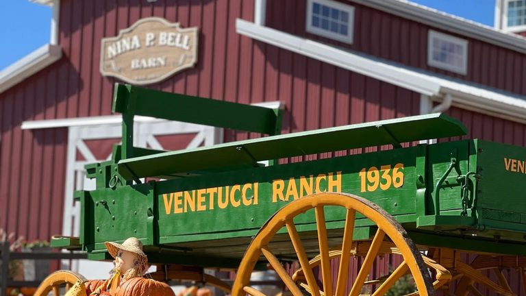 Venetucci Farm Launches 90Th Anniversary Pumpkin Fest With Oktoberfest Weekend