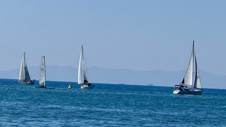 Ventura Caregivers Sailathon Celebrates 25 Years Of Community Support