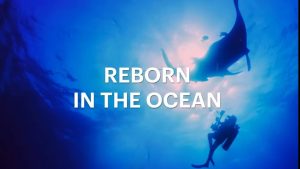 Veteran Finds Healing Through Scuba Diving In New Santa Barbara Documentary