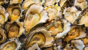 Virginia Raw Oyster Recall After Salmonella Outbreak Sickens 27 Across 12 States