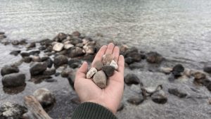 Visitor Returns Jenny Lake Rocks After Rethinking Impact On Grand Teton