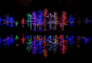 Vitruvian Lights Returns To Addison With Over 1 2 Million Leds For Holiday Seaso