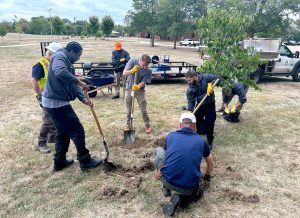 Ward 5 Meeting Approves Planting Of 150 New Flowering Trees In East Akron