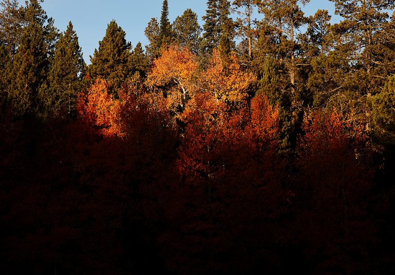 Warm Breezy Friday And Sunny Weekend Ahead For Casper Residents