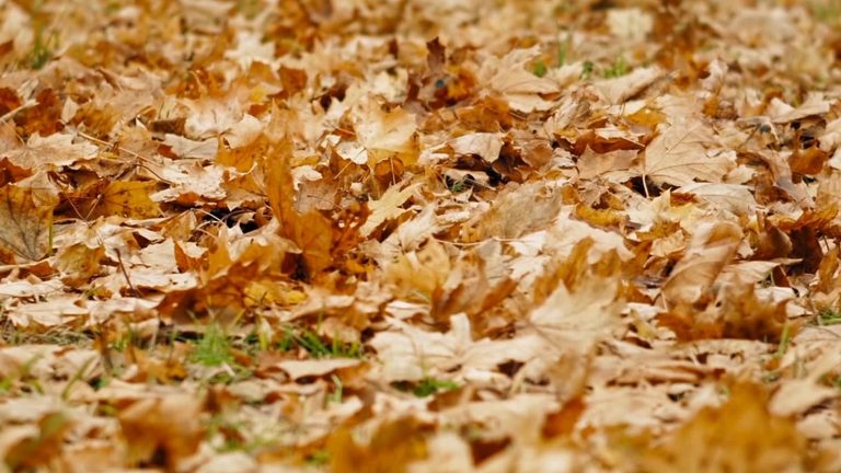 Warm Front Brings Mild Temps And Clouds To Miami Valley Tuesday