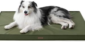 Waterproof Orthopedic Dog Bed On Prime Day For 34 99