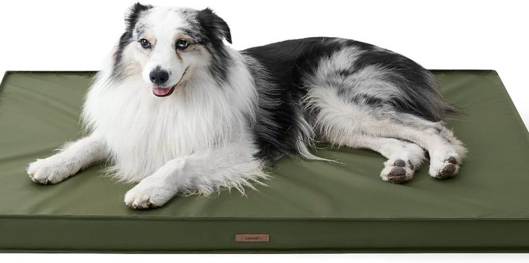 Waterproof Orthopedic Dog Bed On Prime Day For 34 99