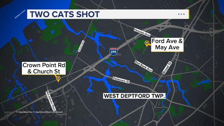 West Deptford Police Urge Owners To Keep Outdoor Cats Indoors After Two Shooting