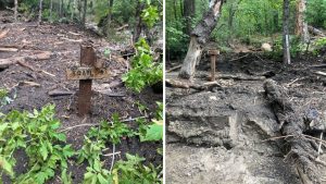 West Fork Trail In Sedona Remains Closed Through Feb 2027 Due To Flood Hazards