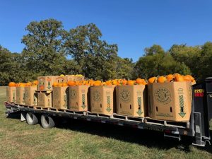West Side Nut Club Invites Families To Free Trick Or Treat On Franklin Street Sa