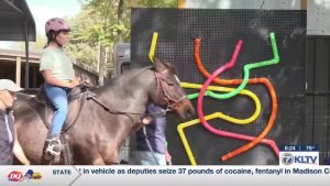 Whitehouse Riding Center Revamps Sensory Area For Therapeutic Riders