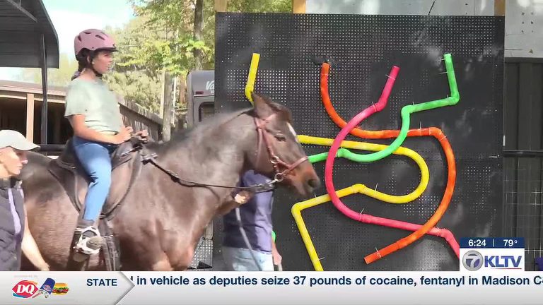 Whitehouse Riding Center Revamps Sensory Area For Therapeutic Riders