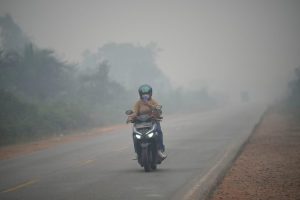 Wildfires In Indonesia S Borneo Threaten Endangered Orangutans