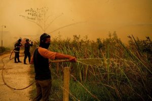 Wildfires Ravage Bangka Belitung Destroying 300 Homes And Displacing 500