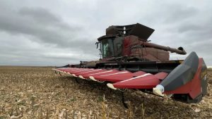 Willow City Farmer Near Complete Corn Harvest As Warm Days Boost Progress