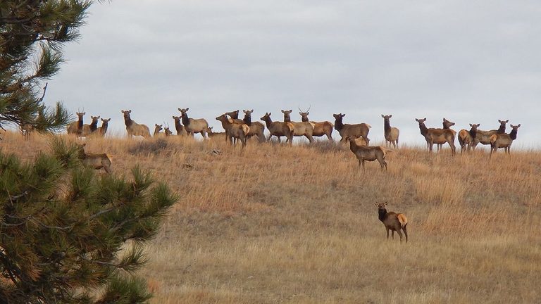 Wind Cave National Park Awarded Grant To Bring Hands On Science To Rapid City St