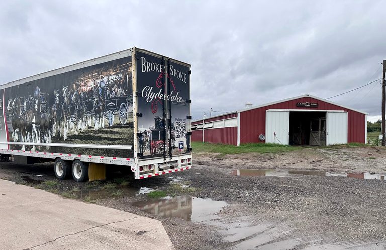 Winfield Clydesdale Stable Raises Security Concerns After Late Night Trespass