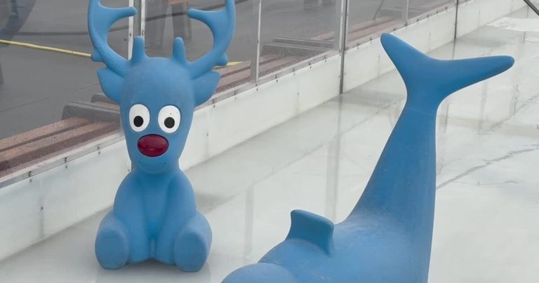 Winterland Ice Rink Opens Early At Heartwood Preserve For Free Family Skating