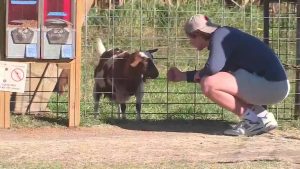 Wisconsin Agricultural Tourism Generates 765 Million Boosting Small Town Economi