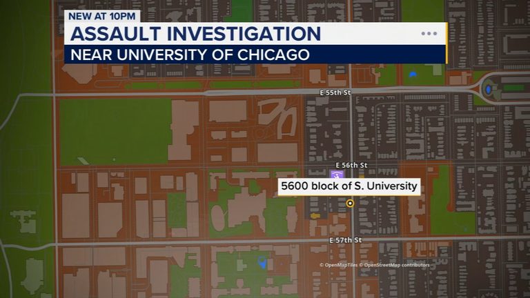 Woman Alleges Sexual Assault At Aepi Fraternity House Near University Of Chicago