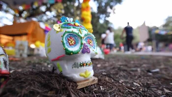 Woodlawn Lake Park D A De Los Muertos Festival Canceled Over Ice Concerns