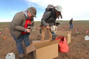 Wyoming Crews Plant Nearly 2 000 Sagebrush Seedlings To Heal Weiser Knoll Fire S
