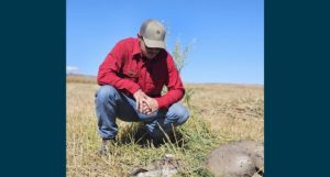 Wyoming Game Fish Alerts Residents To Seasonal Ehd Outbreak Near Casper