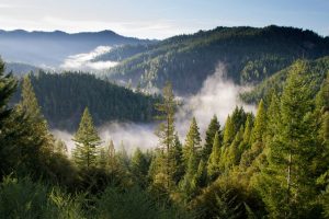 Wyoming S Carbon Intensive Power Remains Vital As Trump Administration Restores