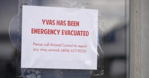 Yellowstone Valley Animal Shelter Settles With City Of Billings Over 2025 Incine
