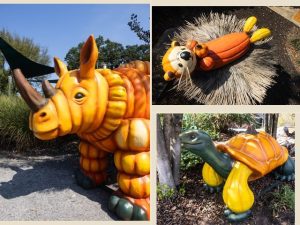 Zoo Knoxville S Halloween Celebration Emphasizes Sustainable Traditions